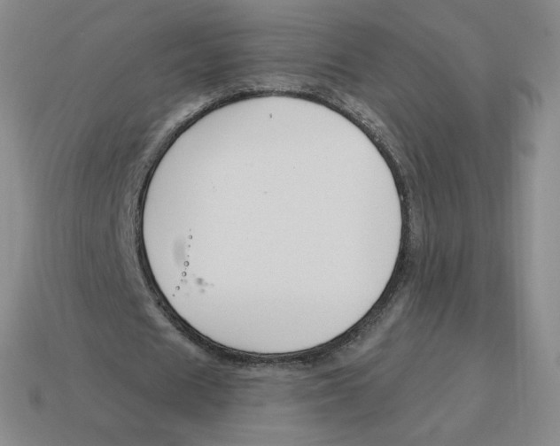 X0000114210625200911061446