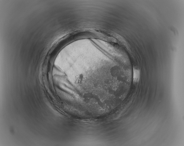 X0000114210627200911061446