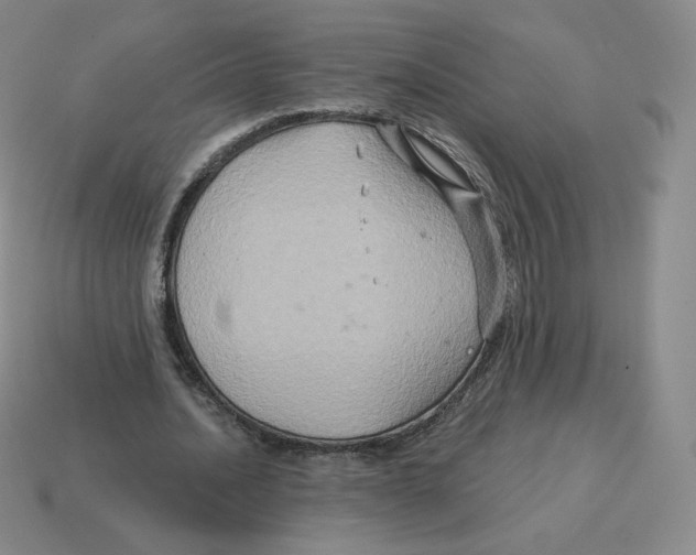 X0000114210628200911061446