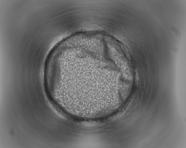 X0000114210630200911061446