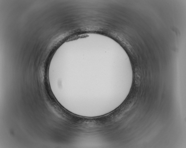 X0000114210631200911061446