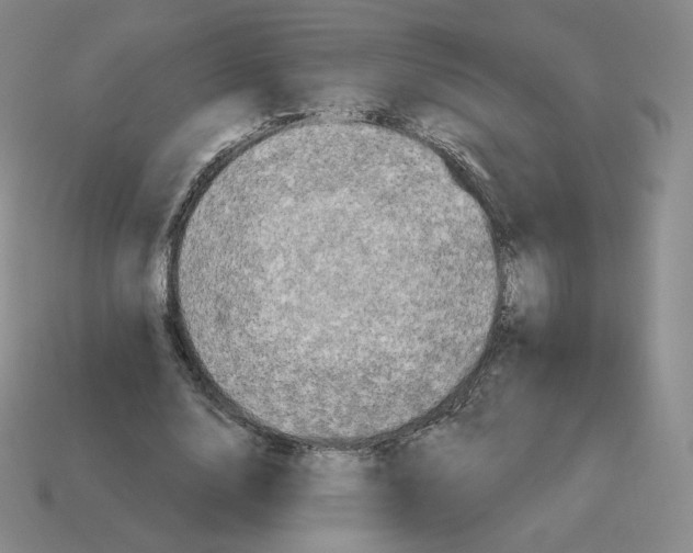 X0000114210632200911061446