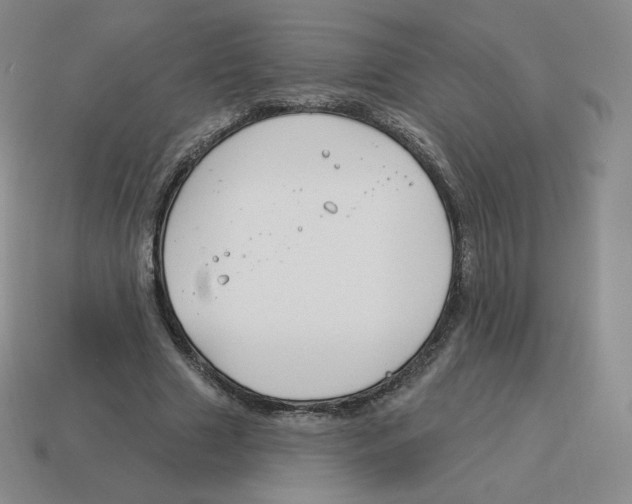 X0000114210633200911061446