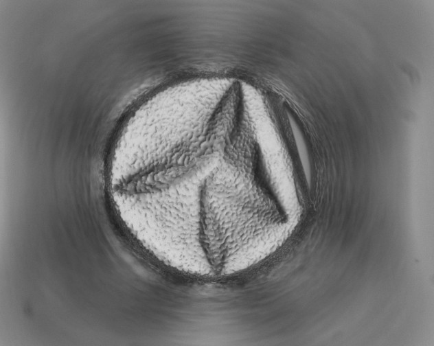 X0000114210634200911061446
