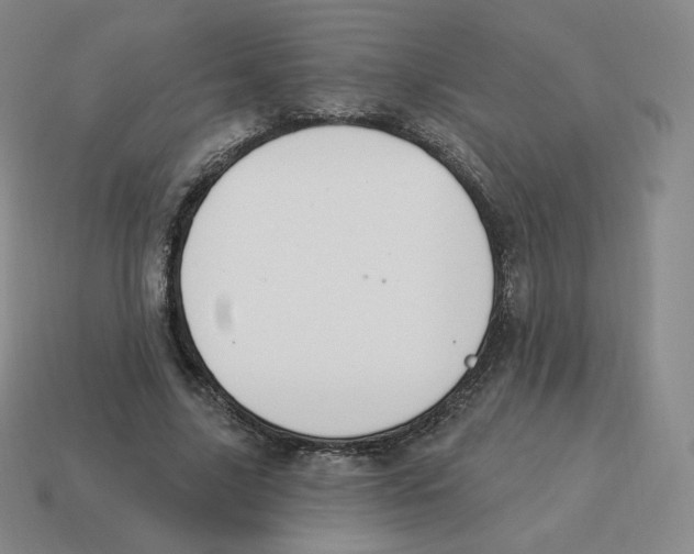 X0000114210635200911061446