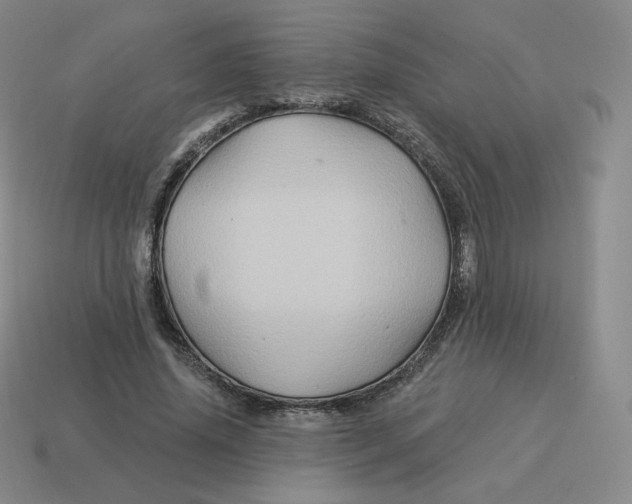 X0000114210636200911061446