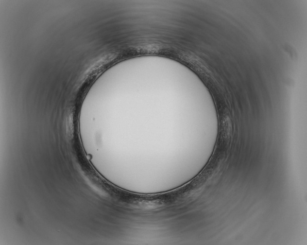 X0000114210638200911061446