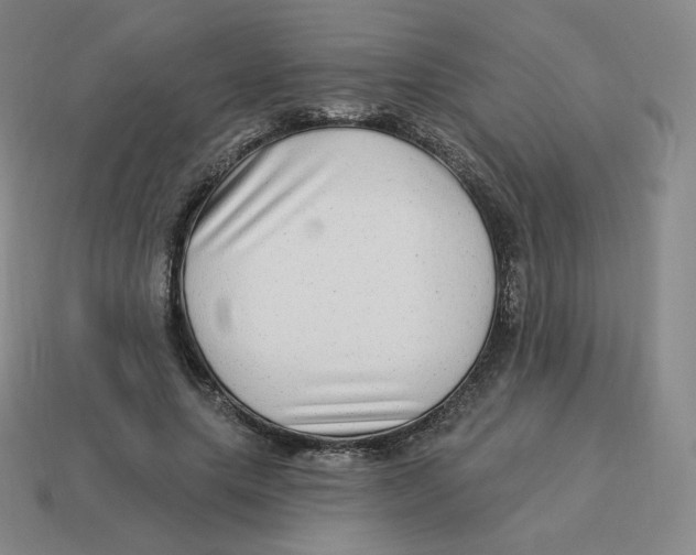 X0000114210639200911061446