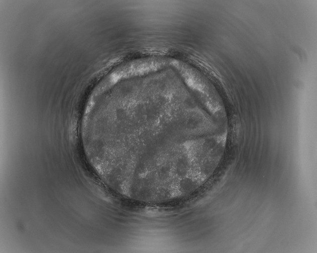 X0000114210641200911061446