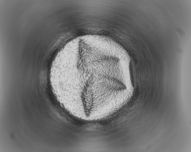X0000114210642200911061446