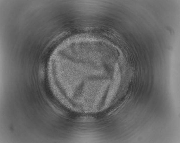 X0000114210644200911061446