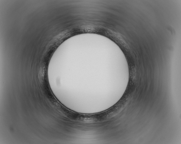 X0000114210645200911061446