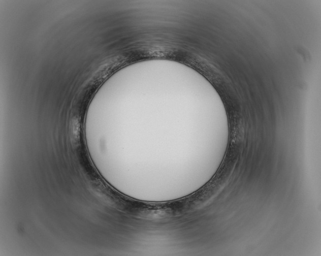 X0000114210646200911061446