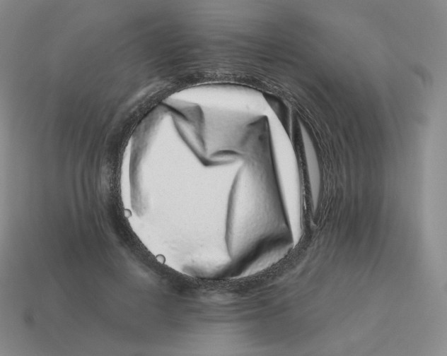 X0000114210648200911061446
