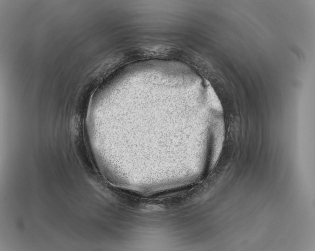 X0000114210649200911061446