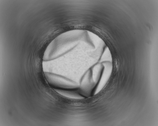 X0000114210650200911061446