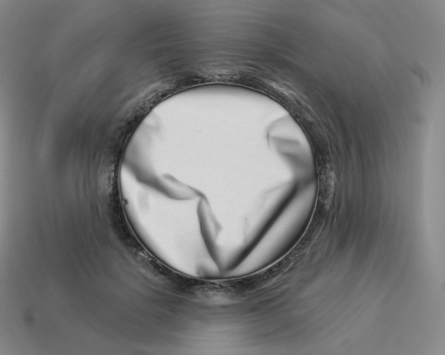 X0000114210652200911061446