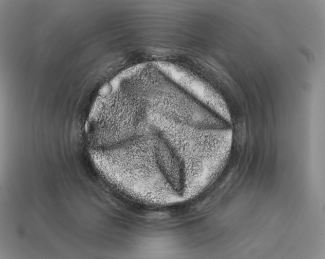 X0000114210653200911061446