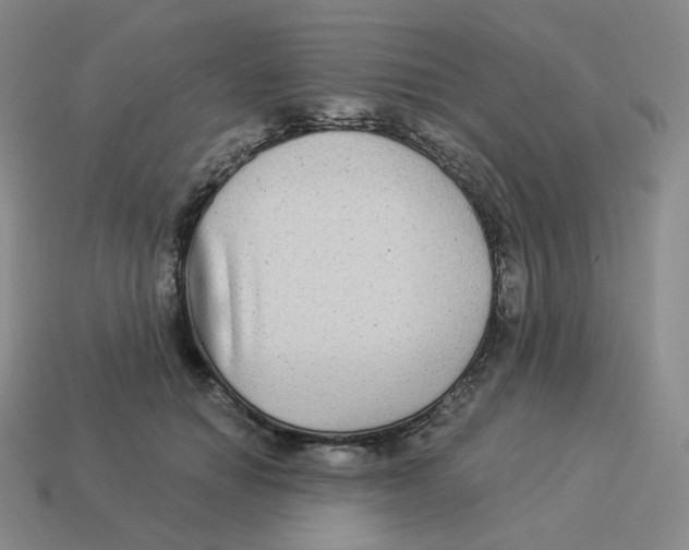 X0000114210654200911061446