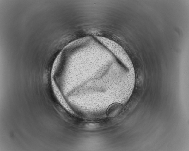 X0000114210658200911061446