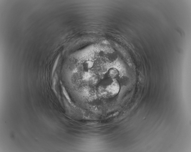 X0000114210659200911061446