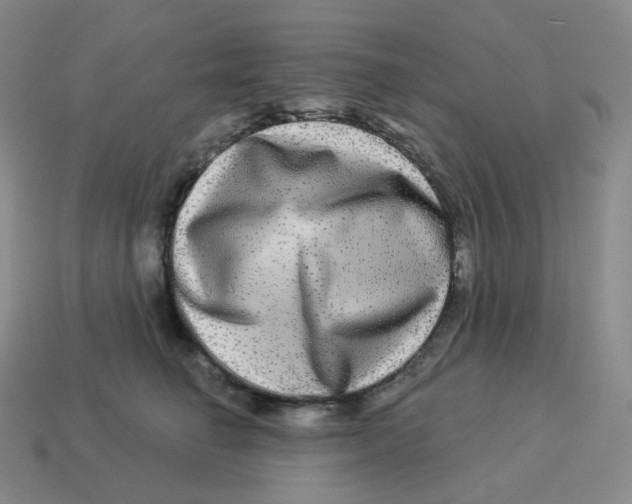 X0000114210662200911061446