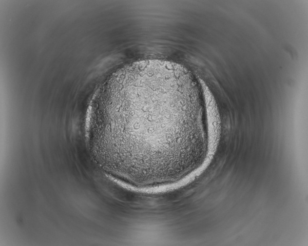 X0000114210663200911061446
