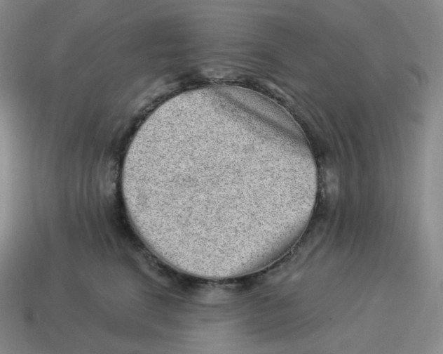 X0000114210664200911061446