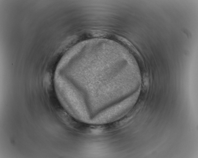 X0000114210667200911061446