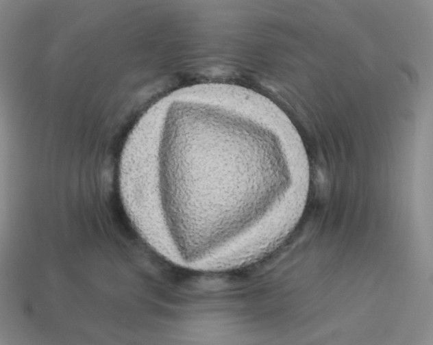 X0000114210668200911061446