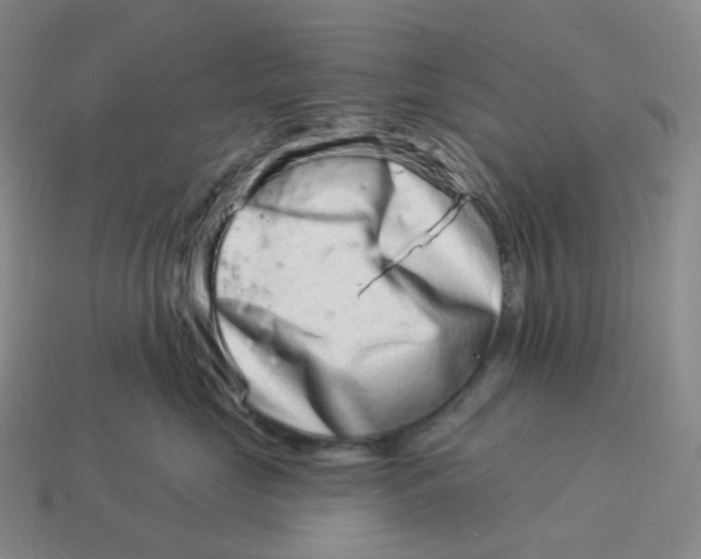 X0000114210669200911061446