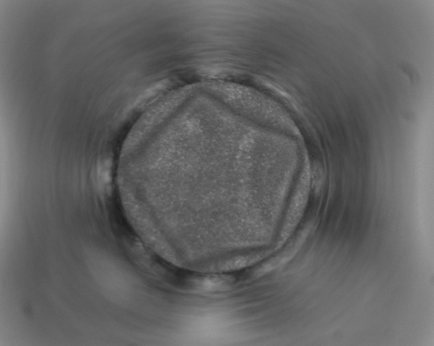 X0000114210670200911061446