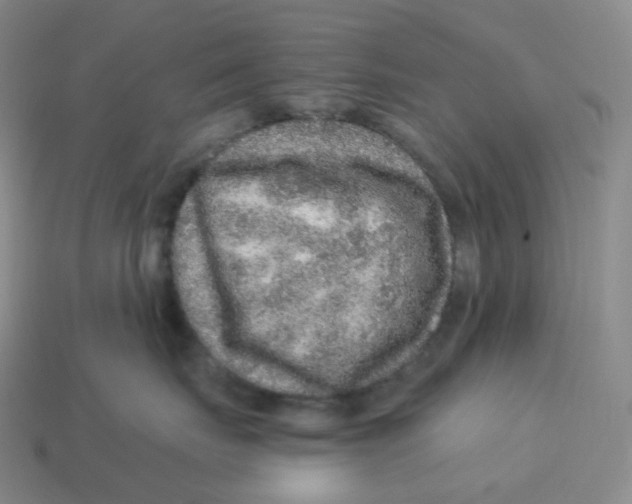 X0000114210671200911061446
