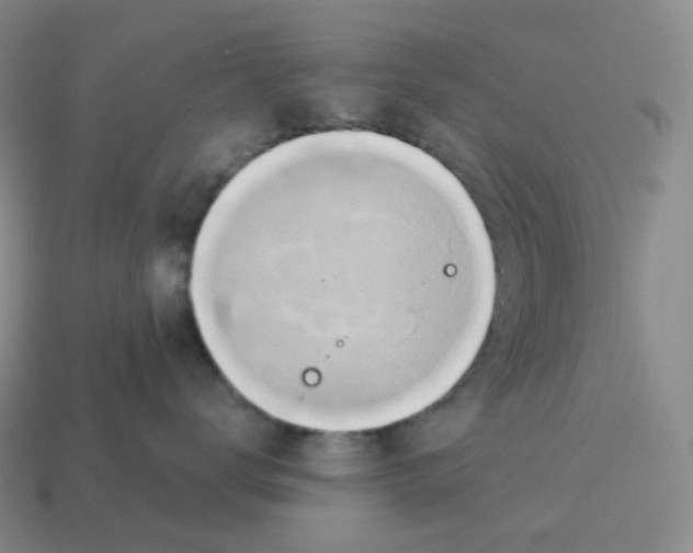 X0000114210672200911061446
