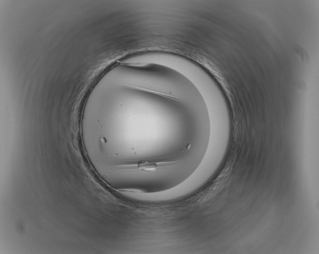 X0000114210673200911061446