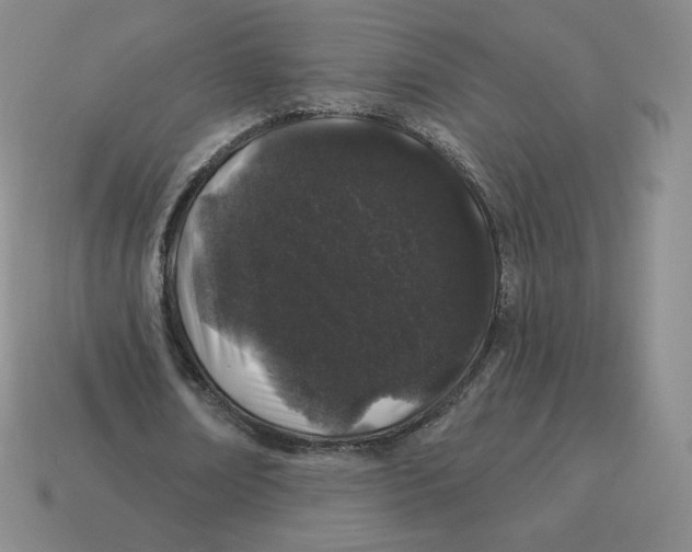 X0000114210674200911061446