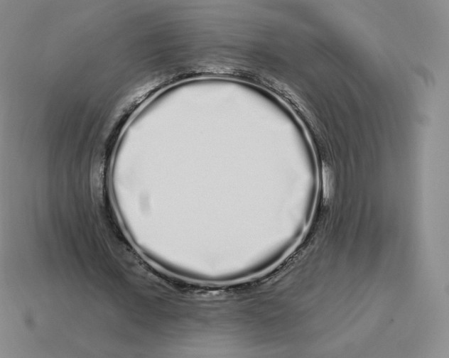 X0000114210675200911061446