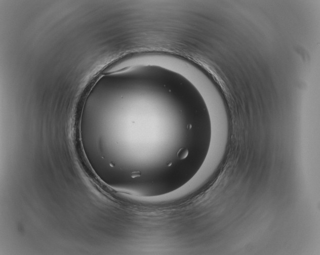 X0000114210677200911061446
