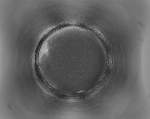 X0000114210678200911061446