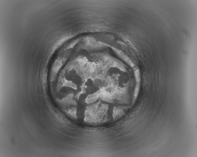 X0000114210679200911061446