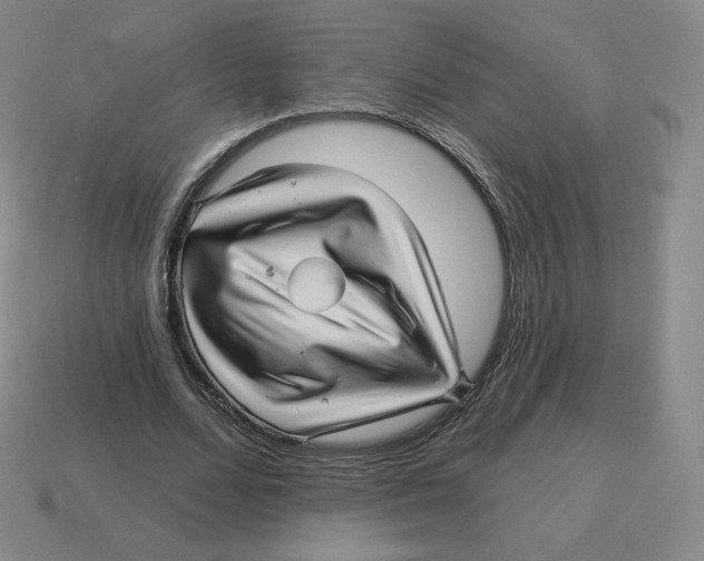 X0000114210680200911061446