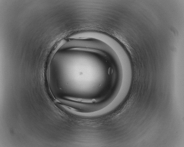 X0000114210681200911061446