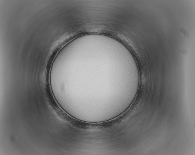 X0000114210682200911061446