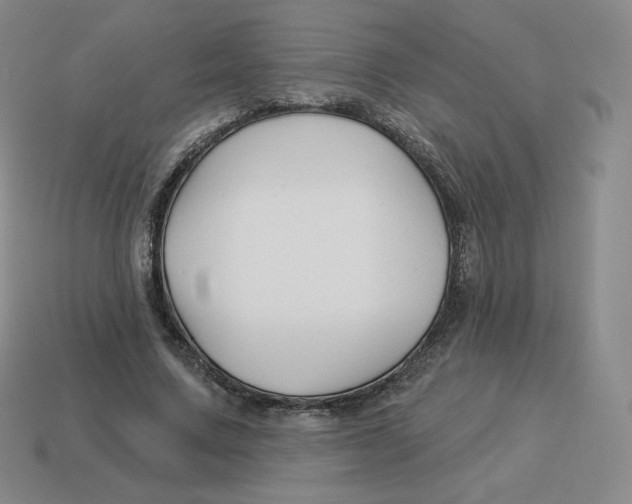 X0000114210683200911061446