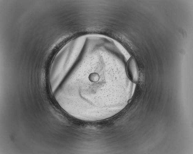 X0000114210684200911061446