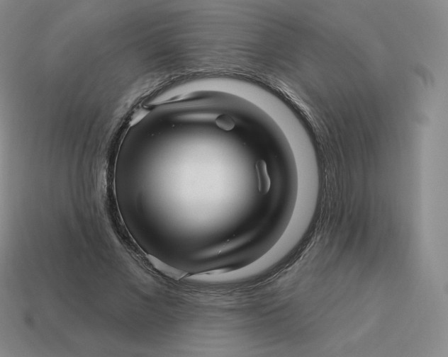 X0000114210685200911061446