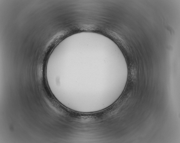 X0000114210686200911061446