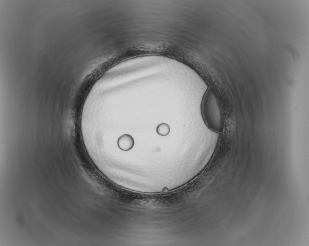 X0000114210688200911061446