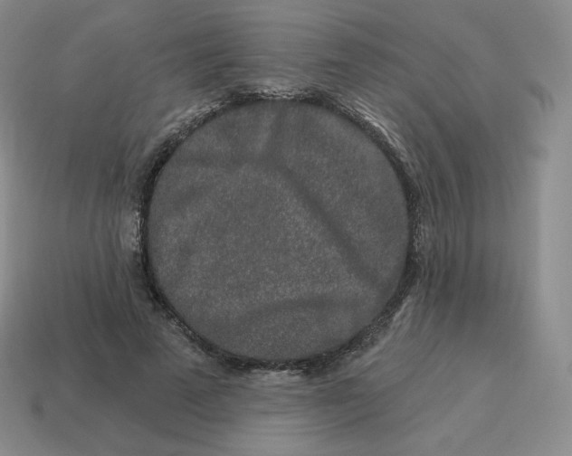 X0000114210689200911061446