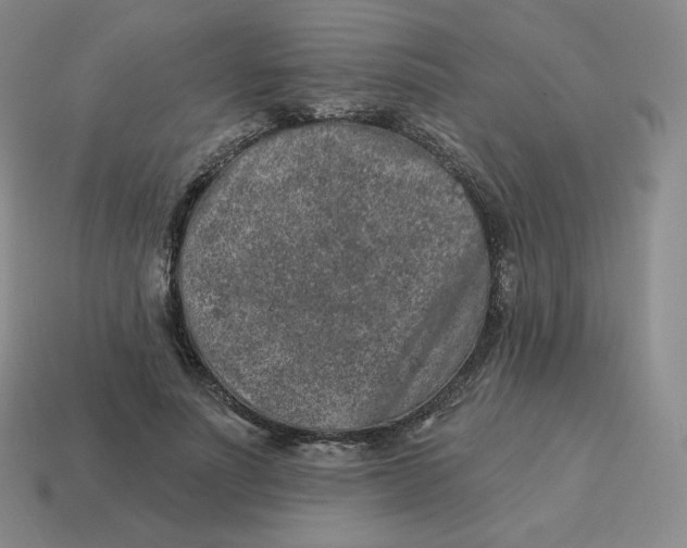 X0000114210691200911061446